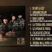 Der musikalische text YO SOY LA LEY von LOS TUCANES DE TIJUANA ist auch in dem Album vorhanden Yo soy la ley (2026)