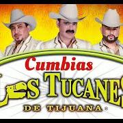 Der musikalische text ADIVINA ADIVINADOR von LOS TUCANES DE TIJUANA ist auch in dem Album vorhanden De fiesta con (1997)