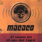 Der musikalische text LA REBELIÓN von MACACO ist auch in dem Album vorhanden El mono en el ojo del tigre (1999)