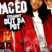 Der musikalische text STRAIGHT OUT DA POT von MACEO ist auch in dem Album vorhanden Straight out the pot (2005)