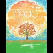 Der musikalische text THE FIGHT SONG (CRASH AND BURN) von MAE ist auch in dem Album vorhanden (a)fternoon [ep] (2009)