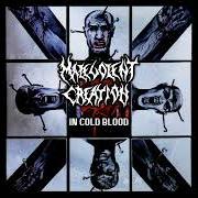 Der musikalische text IN COLD BLOOD von MALEVOLENT CREATION ist auch in dem Album vorhanden In cold blood (1997)