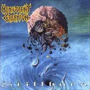 Der musikalische text ETHNIC CLEANSING von MALEVOLENT CREATION ist auch in dem Album vorhanden Stillborn (1993)