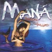 Der musikalische text AMAME HASTA QUE ME MUERA von MANÁ ist auch in dem Album vorhanden Sueños líquidos (1997)