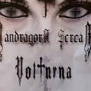 Der musikalische text FAREWELL von MANDRAGORA SCREAM ist auch in dem Album vorhanden Volturna (2009)