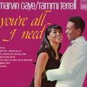 Der musikalische text AIN'T NOTHING LIKE THE REAL THING von MARVIN GAYE ist auch in dem Album vorhanden You're all i need [with tammi terrell] (1968)