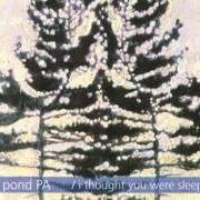 Der musikalische text ST. ANDREWS von MATT POND PA ist auch in dem Album vorhanden I thought you were sleeping ep (2001)