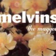 Der musikalische text AMAZON von THE MELVINS ist auch in dem Album vorhanden The maggot (1999)
