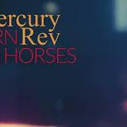 Born horses