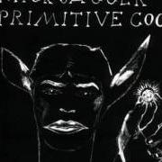 Primitive cool