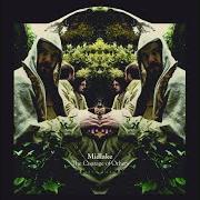 Der musikalische text FORTUNE von MIDLAKE ist auch in dem Album vorhanden The courage of others (2010)