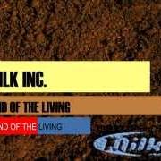 Der musikalische text LOSING LOVE von MILK INC. ist auch in dem Album vorhanden Land of the living (2000)