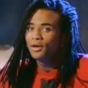 Der musikalische text BOY IN THE TREE von MILLI VANILLI ist auch in dem Album vorhanden Girl you know it's true - the best of milli vanill (2013)