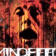 Der musikalische text I BLEED von MINDFEED ist auch in dem Album vorhanden Ten miles high (1998)