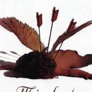 Der musikalische text T.E.A.M von MINDSET ist auch in dem Album vorhanden Mindset (2007)