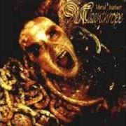Der musikalische text THÉOLOGIE DU MISANTHROPE von MISANTHROPE ist auch in dem Album vorhanden Metal hurlant (2005)