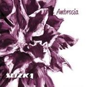 Der musikalische text WORLD LEAVE ME ALONE von AMBROSIA ist auch in dem Album vorhanden Ambrosia (1975)