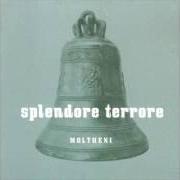 Der musikalische text TUTTA LA BELLEZZA DELL'ISTINTO MATERNO DEGLI ANIMALI von MOLTHENI ist auch in dem Album vorhanden Splendore terrore (2005)