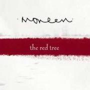 Der musikalische text THE FRIGHTENING REALITY OF THE FACT THAT WE WILL ALL HAVE TO GROW UP AND SETTLE DOWN ONE DAY von MONEEN ist auch in dem Album vorhanden The red tree (2006)