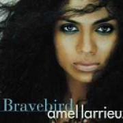 Der musikalische text BEYOND von AMEL LARRIEUX ist auch in dem Album vorhanden Bravebird (2004)