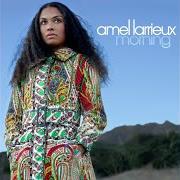Der musikalische text MAGIC von AMEL LARRIEUX ist auch in dem Album vorhanden Morning (2006)