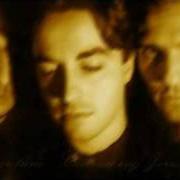 Der musikalische text FADE TO GREY von MONUMENTUM ist auch in dem Album vorhanden In absentia christi (1995)