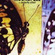 Der musikalische text CAN'T BEE von MOONSPELL ist auch in dem Album vorhanden The butterfly effect (1999)