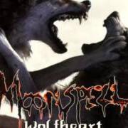 Der musikalische text TREBRARUNA von MOONSPELL ist auch in dem Album vorhanden Wolfheart (1995)