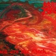 Der musikalische text IN REMEMBRANCE von MORBID ANGEL ist auch in dem Album vorhanden Blessed are the sick (1991)