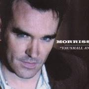 Der musikalische text I AM HATED FOR LOVING von MORRISSEY ist auch in dem Album vorhanden Vauxhall and i (1994)