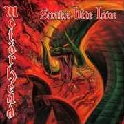 Der musikalische text JOY OF LABOUR von MOTORHEAD ist auch in dem Album vorhanden Snake bite love (1998)