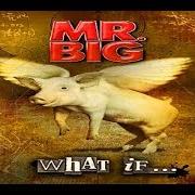 Der musikalische text ONCE UPON A TIME von MR. BIG ist auch in dem Album vorhanden What if ... (2011)