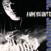 Der musikalische text DO YOUR THANG von MR. SHADOW ist auch in dem Album vorhanden A name you kan't touch (2002)