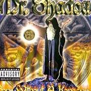 Der musikalische text PUT IT DOWN von MR. SHADOW ist auch in dem Album vorhanden Born without a konscience (1999)