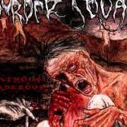 Der musikalische text ARMY OF MAGGOTS von MURDER SQUAD ist auch in dem Album vorhanden Ravenous, murderous (2003)