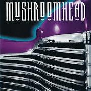 Der musikalische text UNINTENDED von MUSHROOMHEAD ist auch in dem Album vorhanden Superbuick (1996)