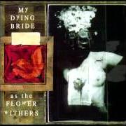 Der musikalische text THE FOREVER PEOPLE von MY DYING BRIDE ist auch in dem Album vorhanden As the flower withers (1992)