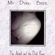Der musikalische text THE SEXUALITY OF BEREAVEMENT von MY DYING BRIDE ist auch in dem Album vorhanden The angel and the dark river (1995)