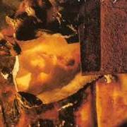 Der musikalische text THE THRASH OF NAKED LIMBS von MY DYING BRIDE ist auch in dem Album vorhanden The thrash of the naked limbs (1993)