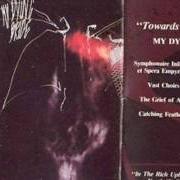 Der musikalische text SYMPHONAIRE INFERNUS ET SPERA EMPYRIUM von MY DYING BRIDE ist auch in dem Album vorhanden Towards the sinister (1990)