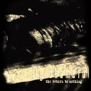 Der musikalische text THIS SAME GREY LIGHT von MY SHAMEFUL ist auch in dem Album vorhanden The return to nothing (2006)