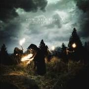 Der musikalische text DIGITAL REBIRTH von MYCHILDREN MYBRIDE ist auch in dem Album vorhanden Lost boy (2010)