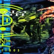 Der musikalische text FINER TRUTHS, WHITE LIES von NAPALM DEATH ist auch in dem Album vorhanden Greed killing (1995)