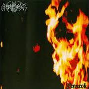 Der musikalische text INTO THE VOID von NARGAROTH ist auch in dem Album vorhanden Amarok (2000)