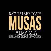 Der musikalische text SON AMORES (THAT'S AMORE) von NATALIA LAFOURCADE ist auch in dem Album vorhanden Musas (2017)