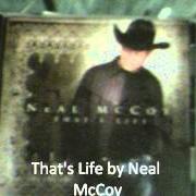 Der musikalische text TAIL ON THE TAILGATE von NEAL MCCOY ist auch in dem Album vorhanden That's life (2005)