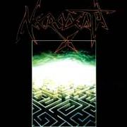 Der musikalische text METEMPSYCHOSIS von NECRODEATH ist auch in dem Album vorhanden Fragments of insanity (1989)