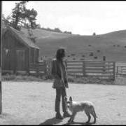 Der musikalische text THE LONER von NEIL YOUNG ist auch in dem Album vorhanden Sugar mountain: live at canterbury house 1968 (2008)