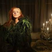 Der musikalische text WRECK von NEKO CASE ist auch in dem Album vorhanden Neon grey midnight green (2025)