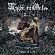 Der musikalische text WINTERSPAWN von NIGHT IN GALES ist auch in dem Album vorhanden Dawnlight garden (2020)